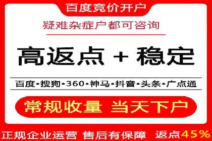 行业领先的SEM竞价广告投放案例